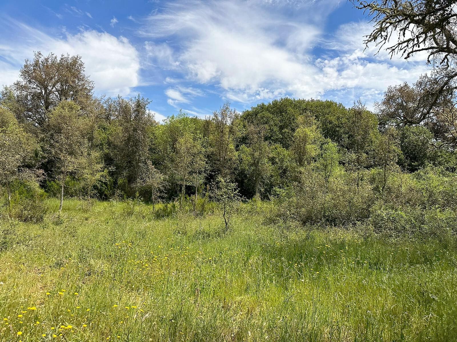 Maison de campagne à vendre à Odemira 4