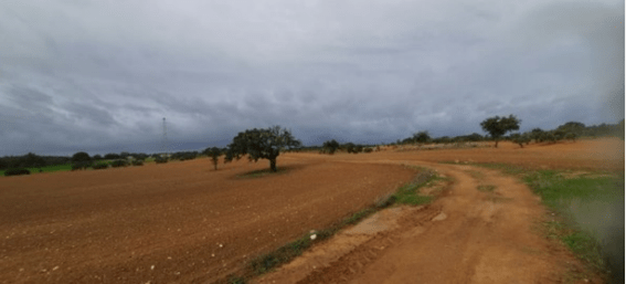 Plot for sale in Lisbon 13