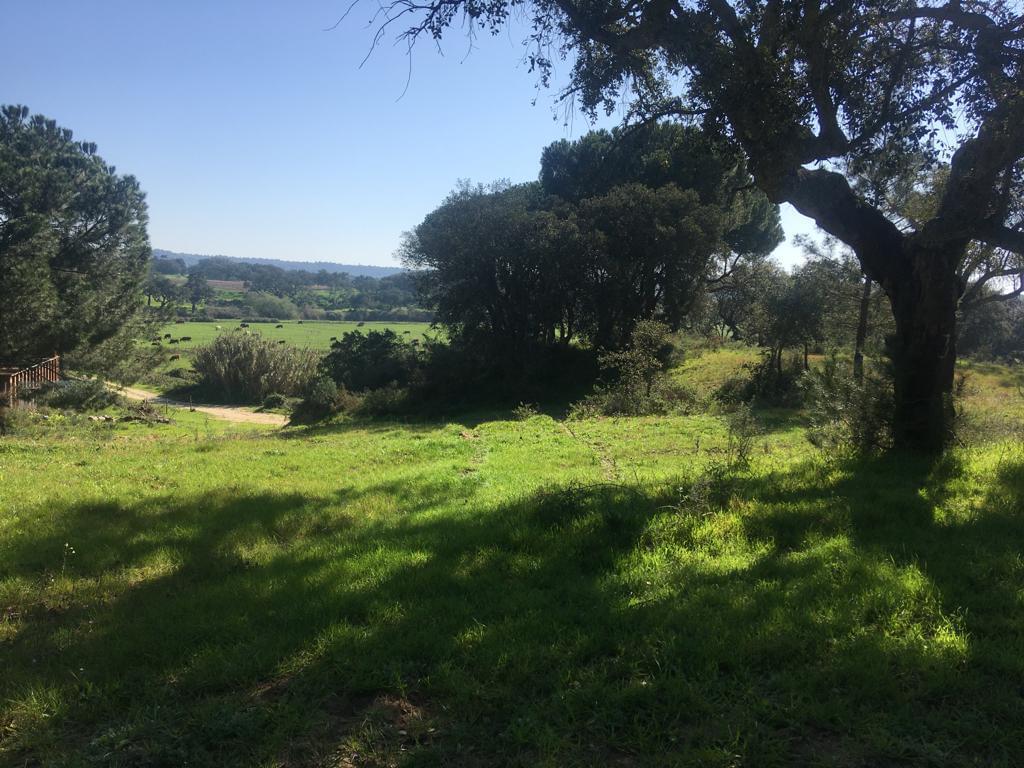 Maison de campagne à vendre à Setúbal Peninsula 8