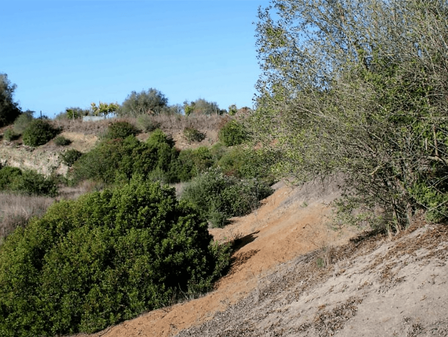 Plot zum Verkauf in Setúbal Peninsula 3