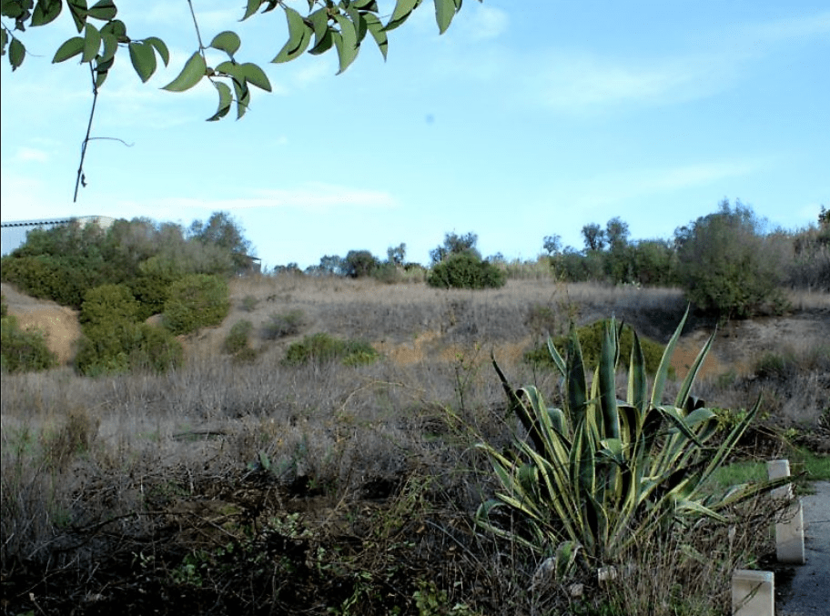 Plot zum Verkauf in Setúbal Peninsula 4