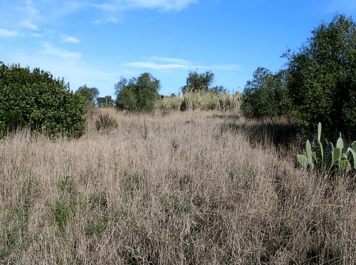 Plot zum Verkauf in Setúbal Peninsula 6