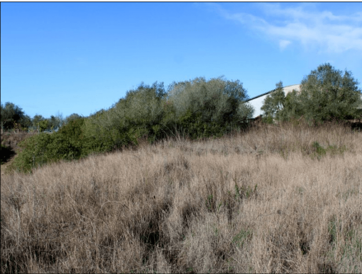 Plot zum Verkauf in Setúbal Peninsula 7