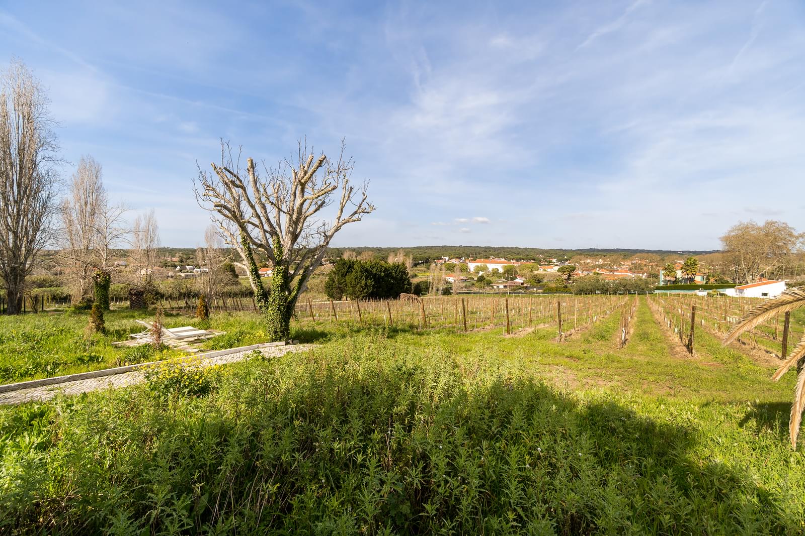 Maison de campagne à vendre à Sintra 6