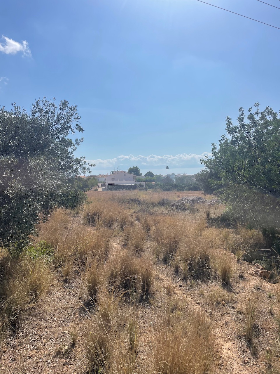 Plot for sale in Guardamar and surroundings 6