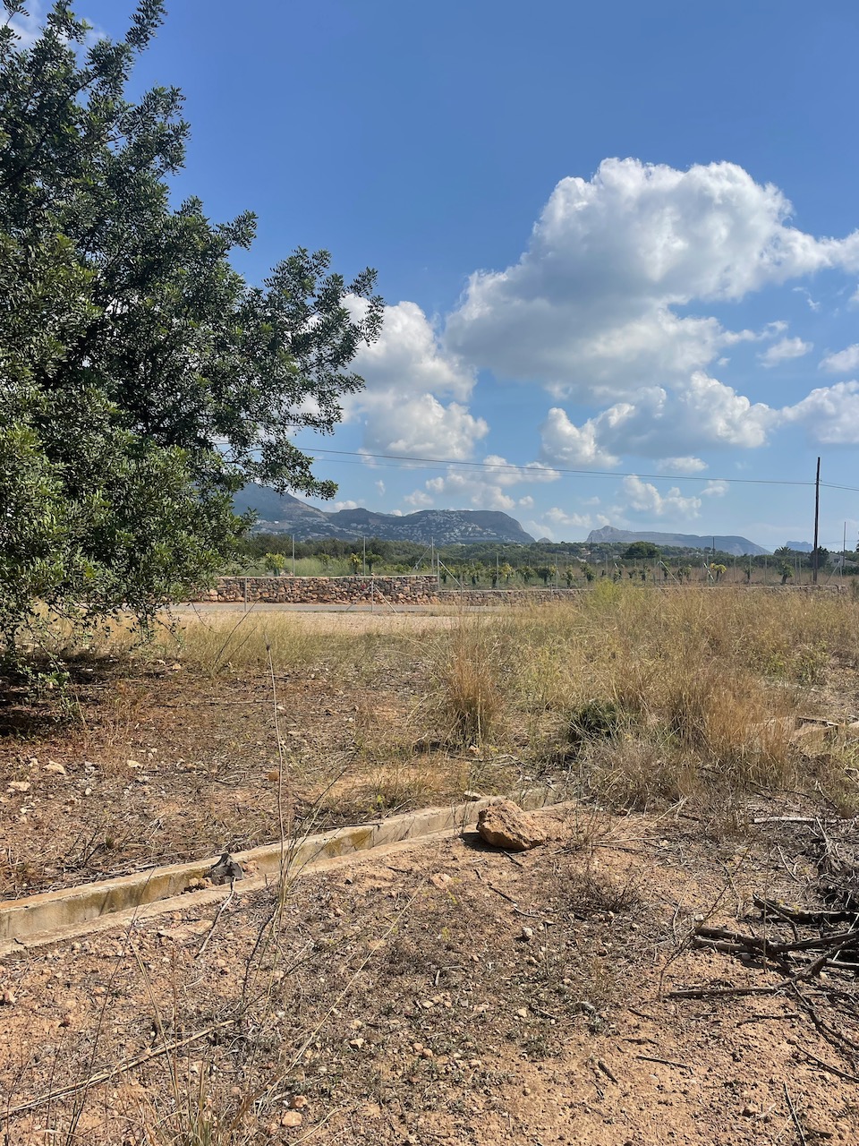 Plot for sale in Guardamar and surroundings 8