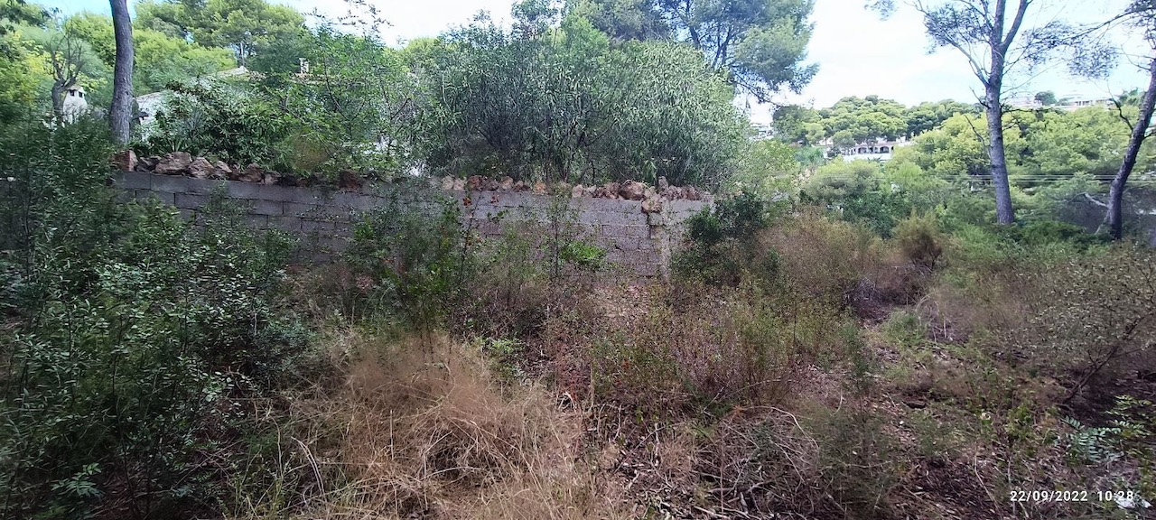 Plot for sale in Guardamar and surroundings 12