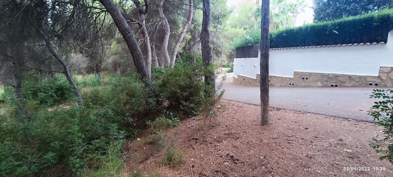 Plot for sale in Guardamar and surroundings 3