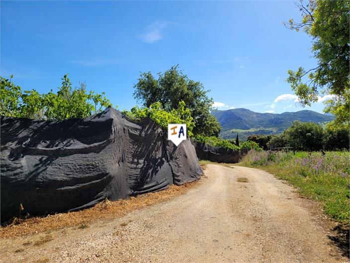 Maison de campagne à vendre à Málaga 6