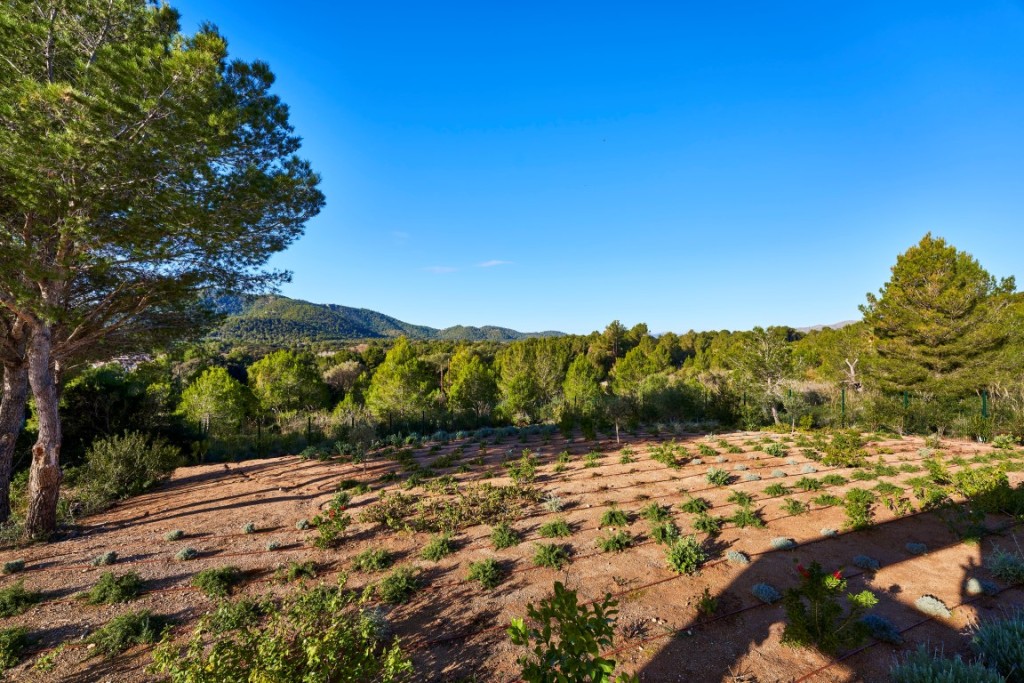 Apartment for sale in Mallorca East 12