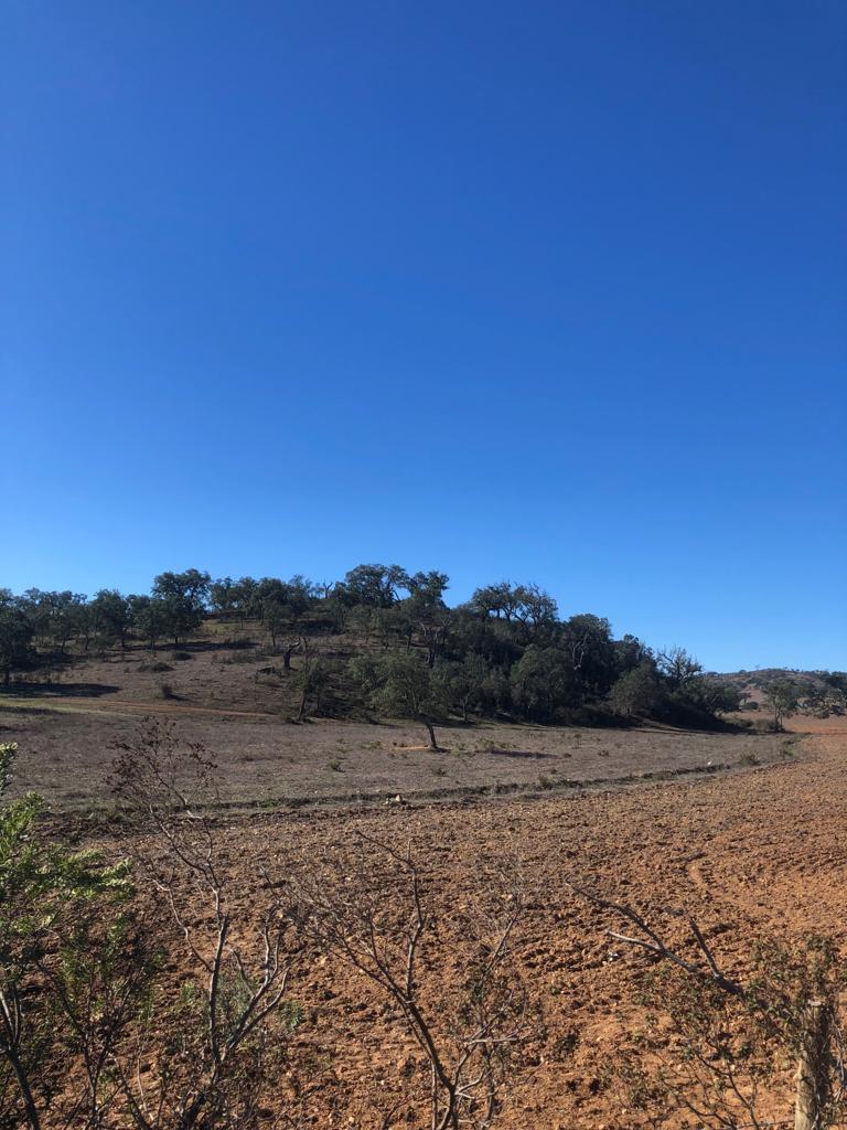 Plot en venta en Setúbal Peninsula 17