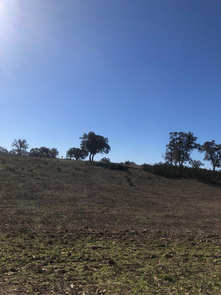 Plot en venta en Setúbal Peninsula 19