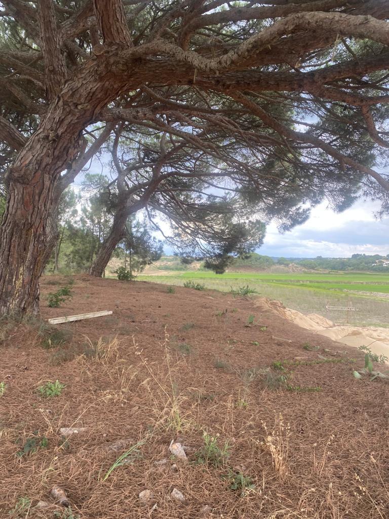 Plot en venta en Setúbal Peninsula 15