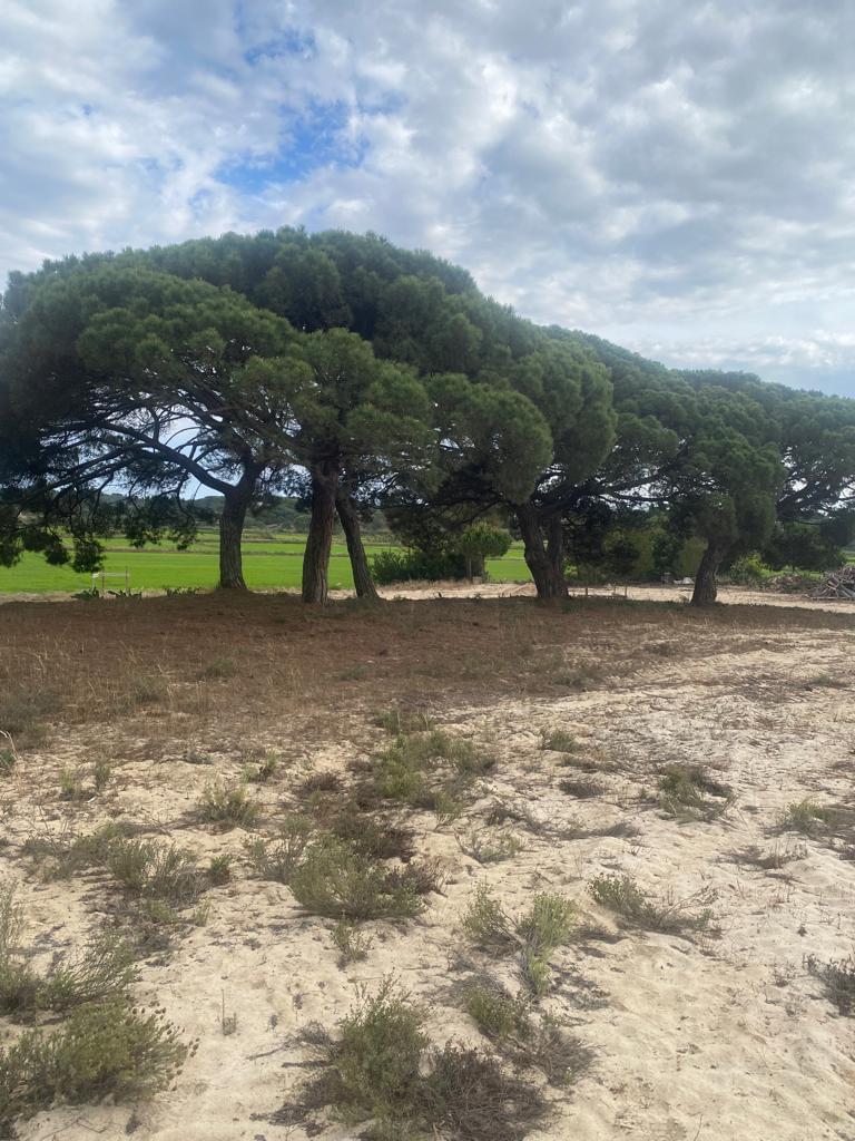 Plot en venta en Setúbal Peninsula 20