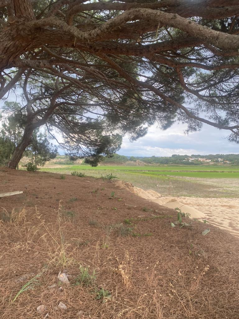 Plot en venta en Setúbal Peninsula 21