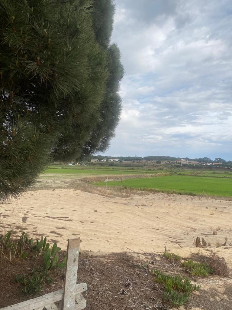 Plot en venta en Setúbal Peninsula 9