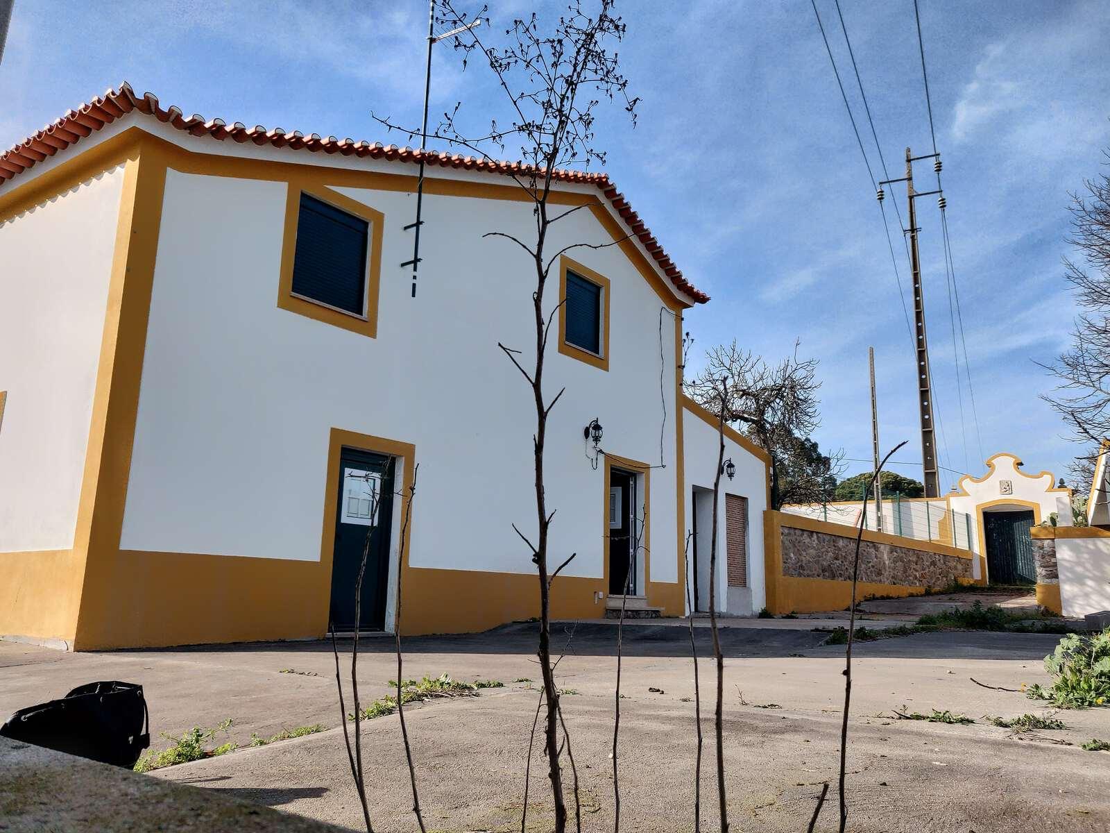 Casas de Campo en venta en Guardamar and surroundings 2