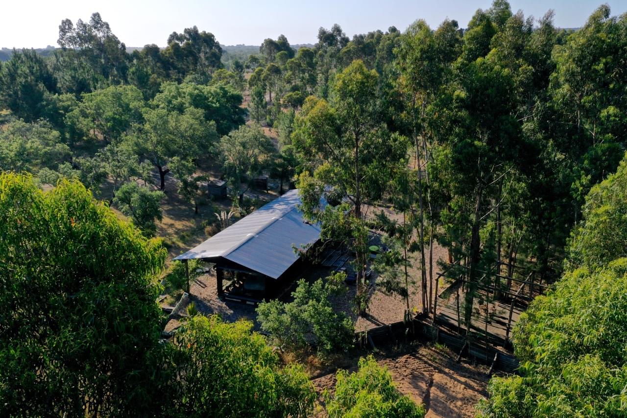 Maison de campagne à vendre à Setúbal Peninsula 6