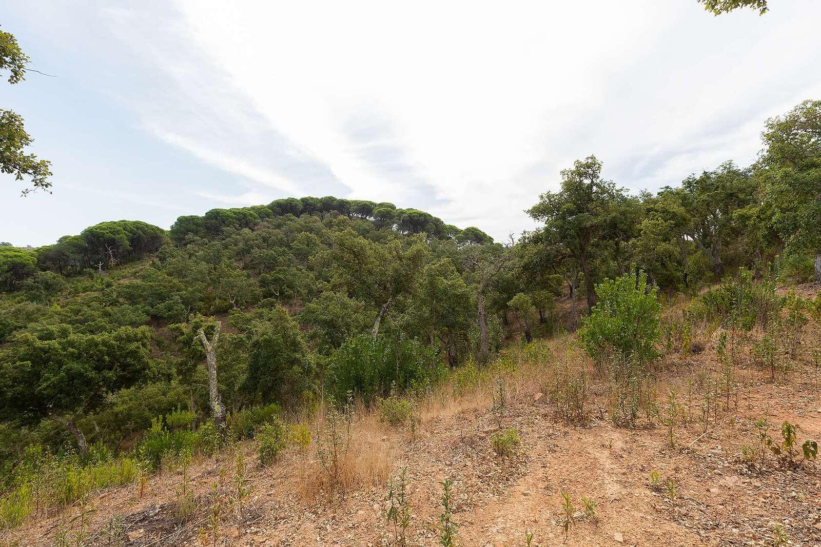 Maison de campagne à vendre à Setúbal Peninsula 10