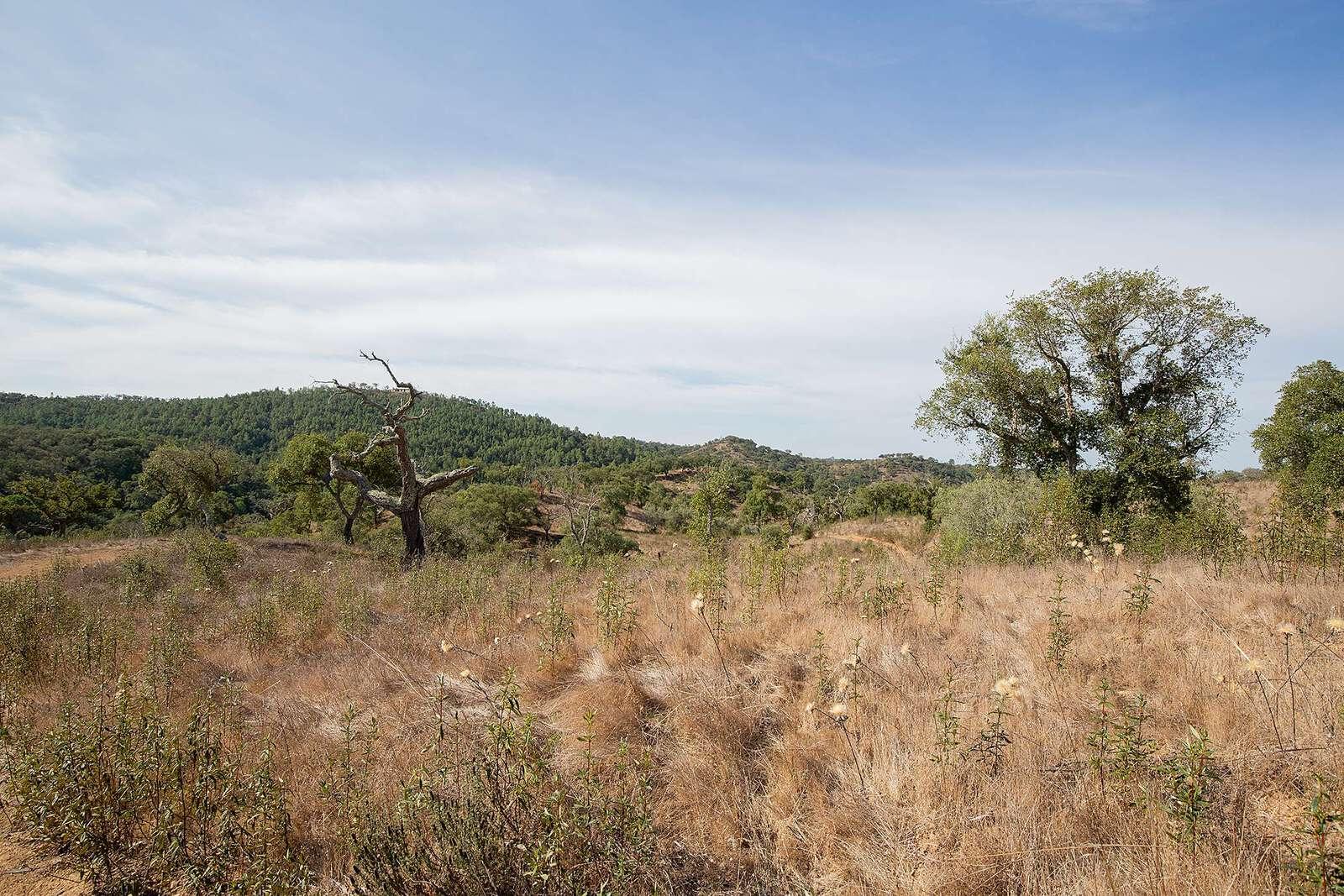 Maison de campagne à vendre à Setúbal Peninsula 3