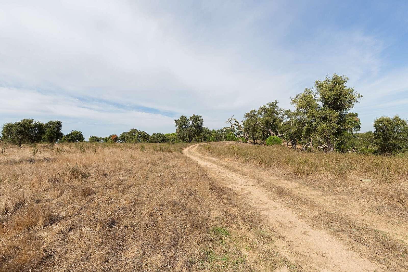 Maison de campagne à vendre à Setúbal Peninsula 5