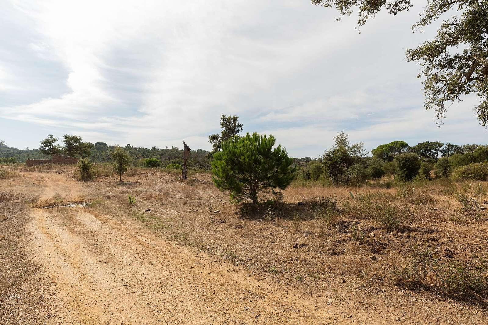 Загородный дом для продажи в Setúbal Peninsula 8