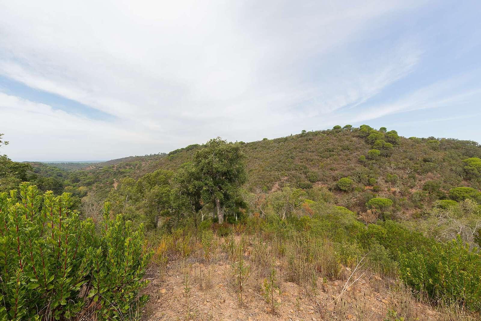 Maison de campagne à vendre à Setúbal Peninsula 9