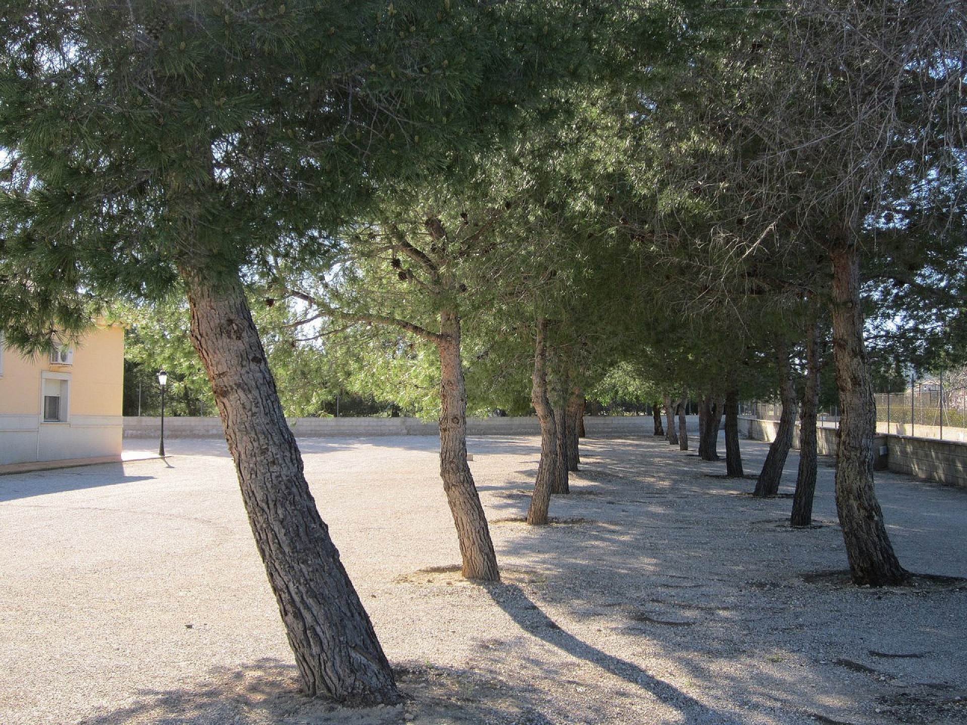 Haus zum Verkauf in San Pedro del Pinatar and San Javier 5