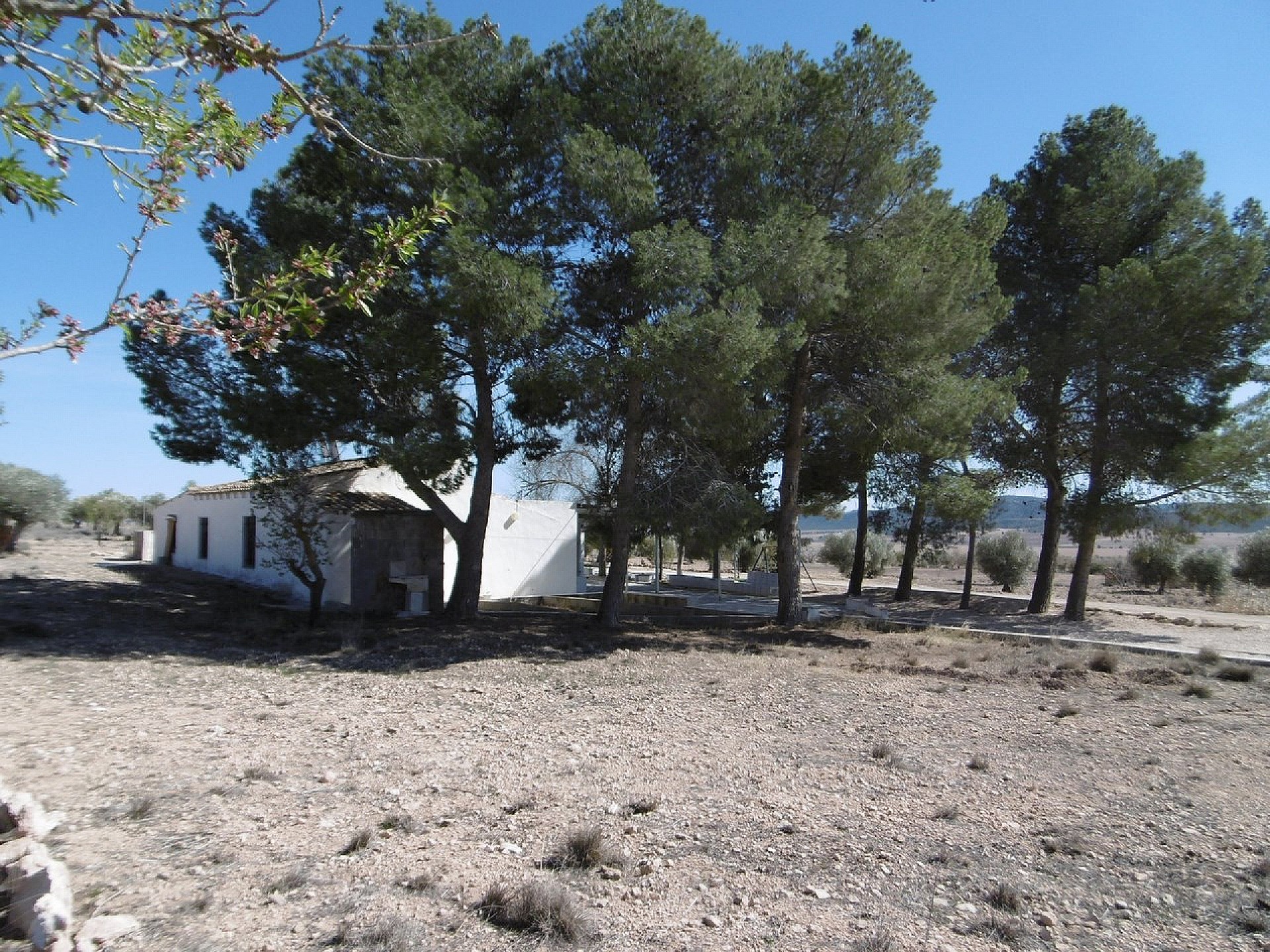 Casas de Campo en venta en Guardamar and surroundings 17
