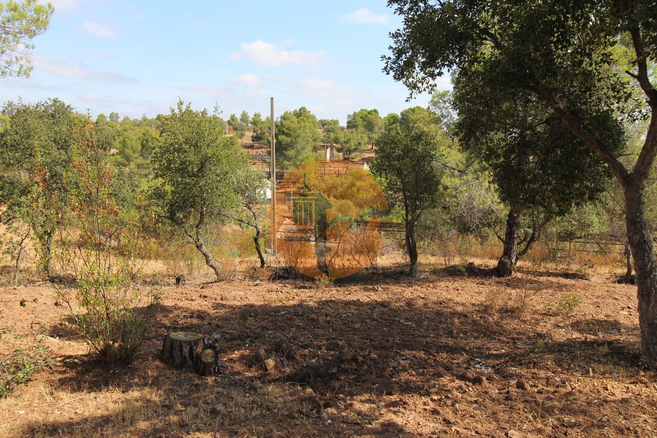 Maison de campagne à vendre à Faro 5