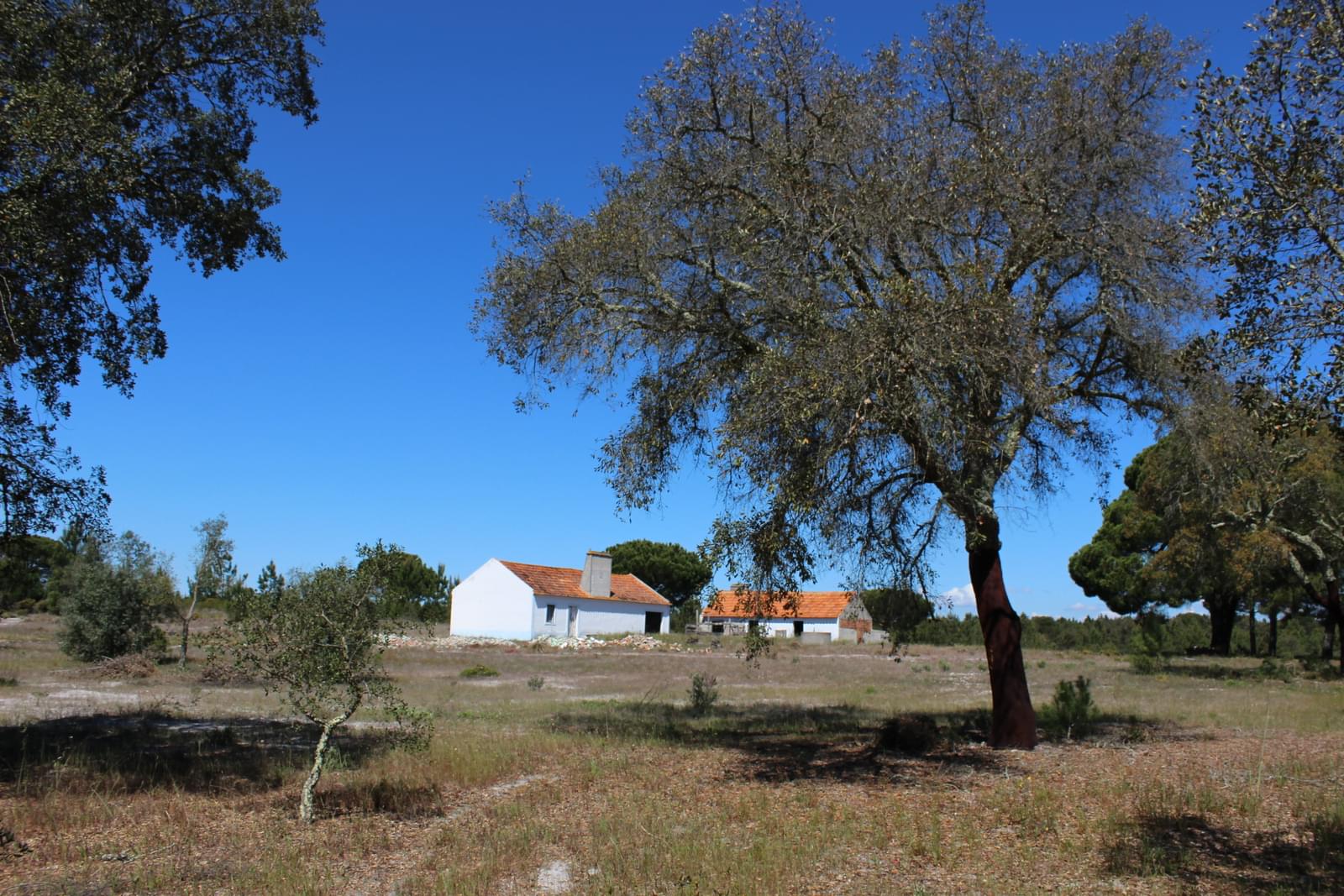 Hus på landet till salu i Setúbal Peninsula 1