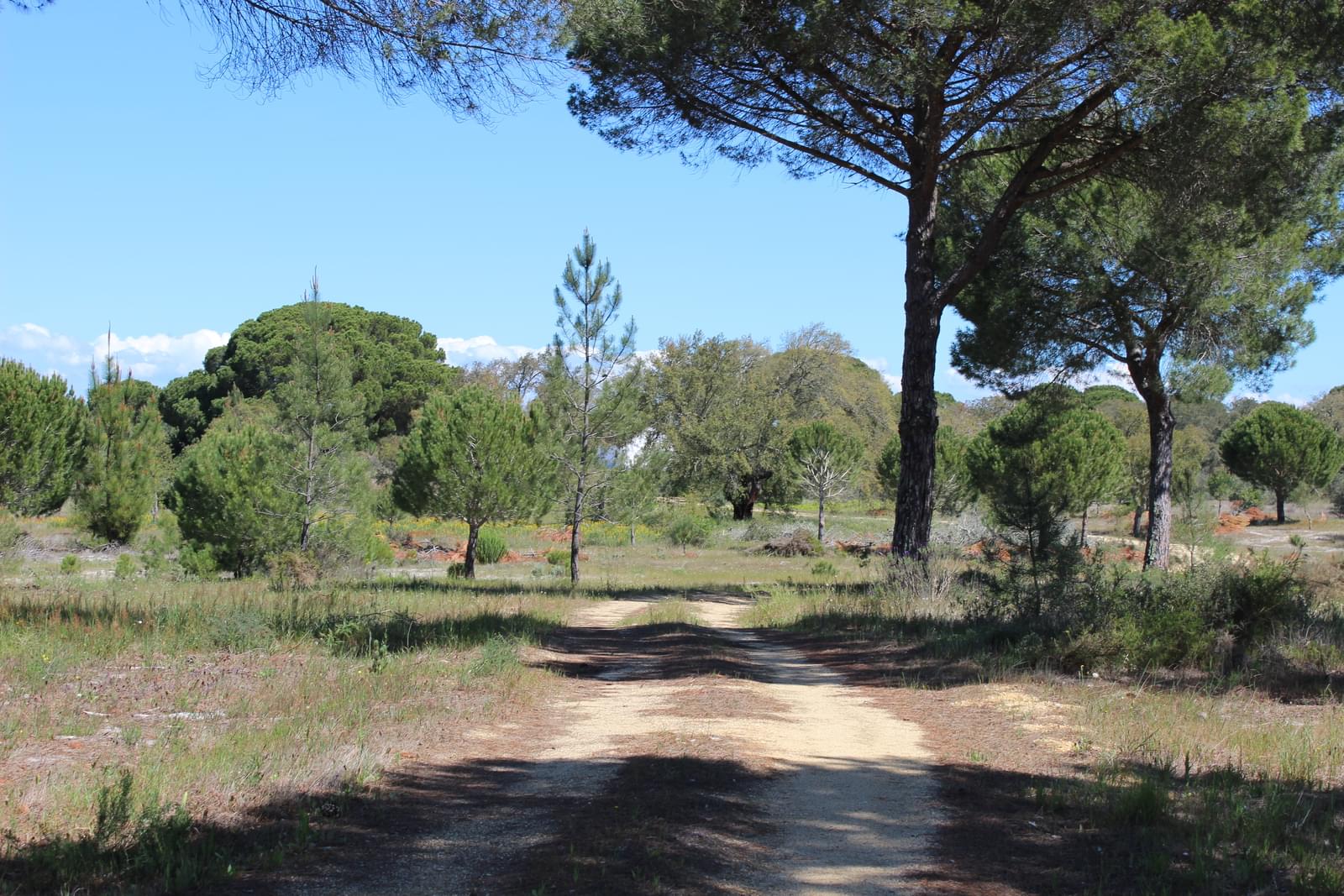 Landhaus zum Verkauf in Setúbal Peninsula 13