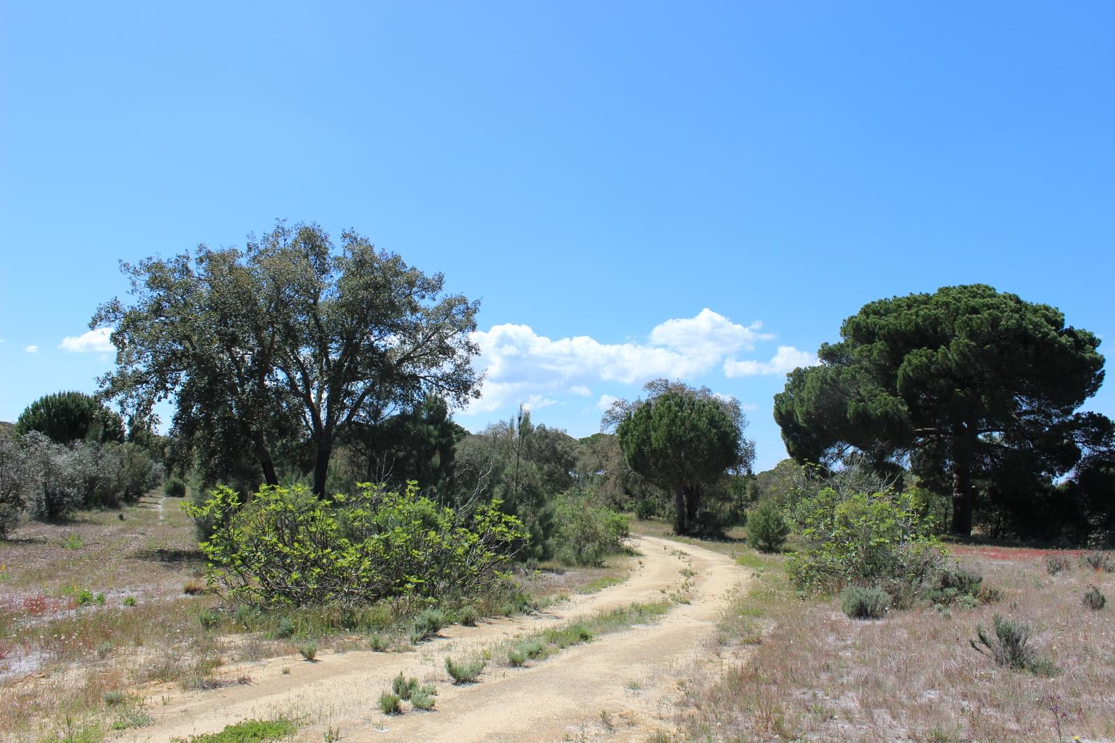 Hus på landet till salu i Setúbal Peninsula 16