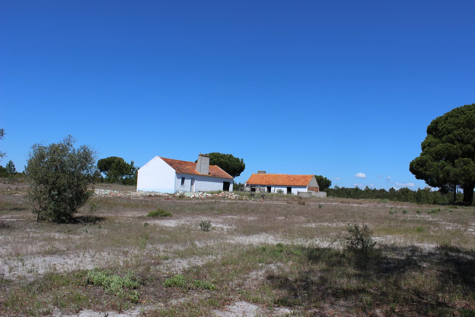 Landhaus zum Verkauf in Setúbal Peninsula 5