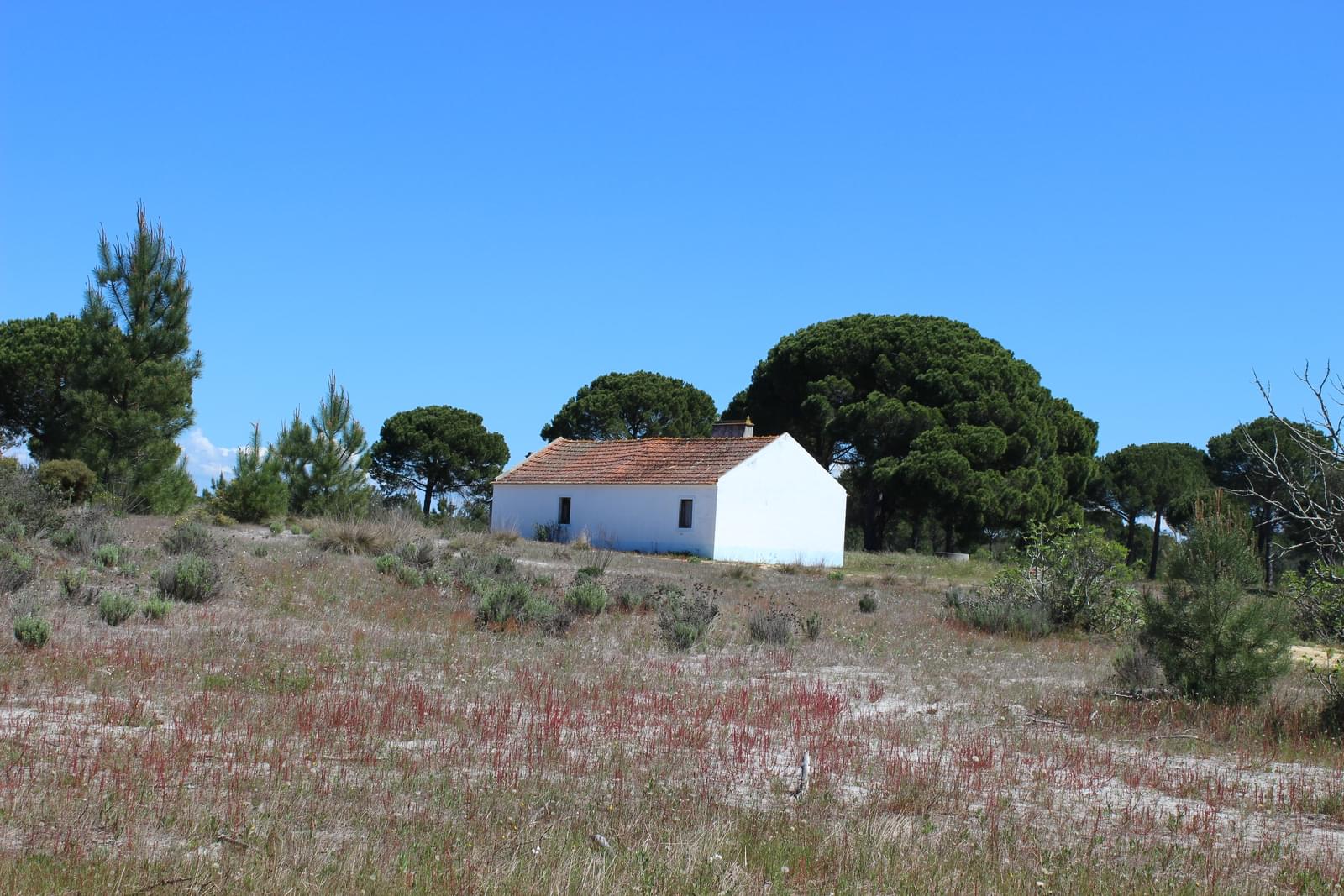 Hus på landet till salu i Setúbal Peninsula 7