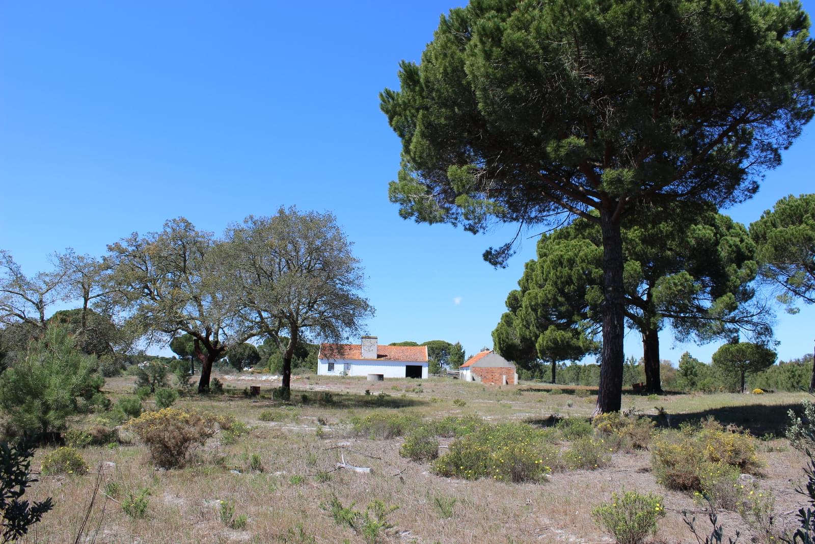 Maison de campagne à vendre à Setúbal Peninsula 9