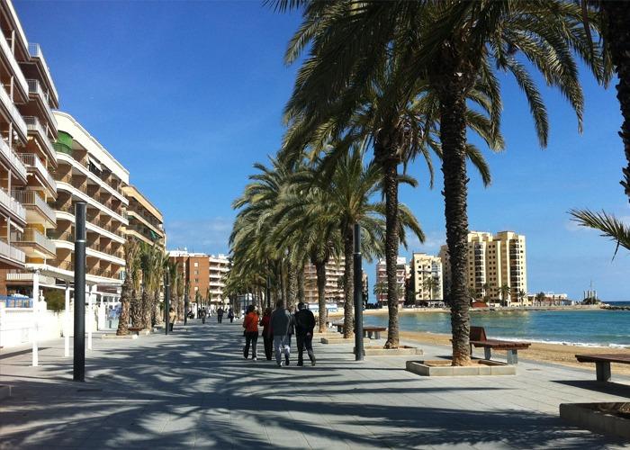 Apartament na sprzedaż w Torrevieja and surroundings 15