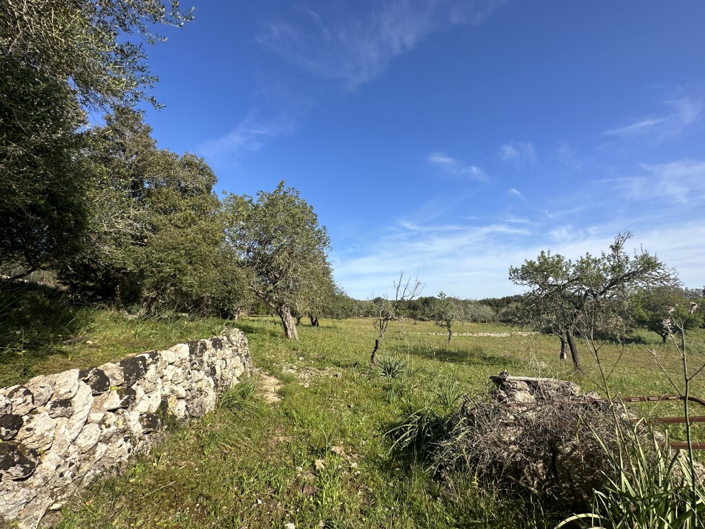 Plot à vendre à Mallorca East 14