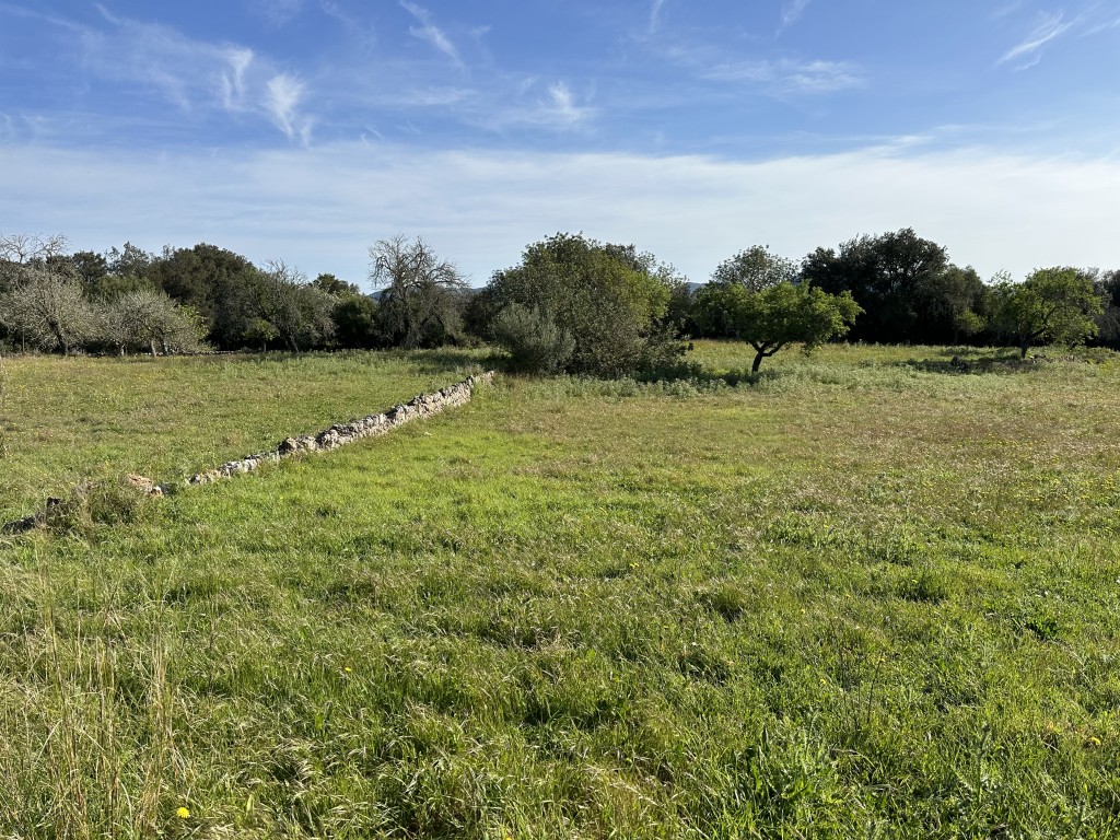 Plot te koop in Mallorca East 5