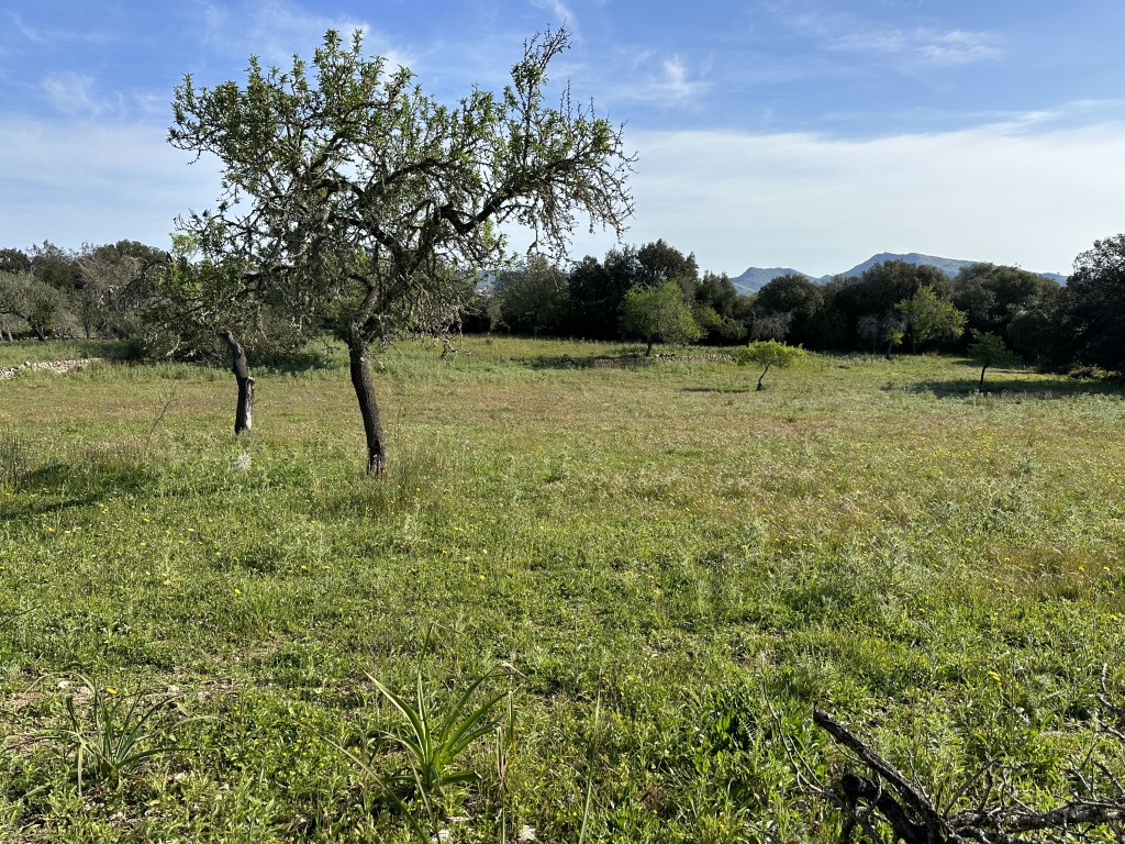 Plot te koop in Mallorca East 7