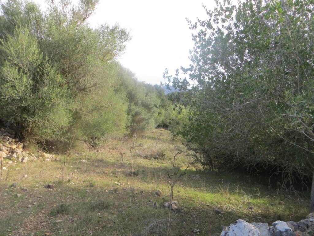 Plot te koop in Mallorca East 9