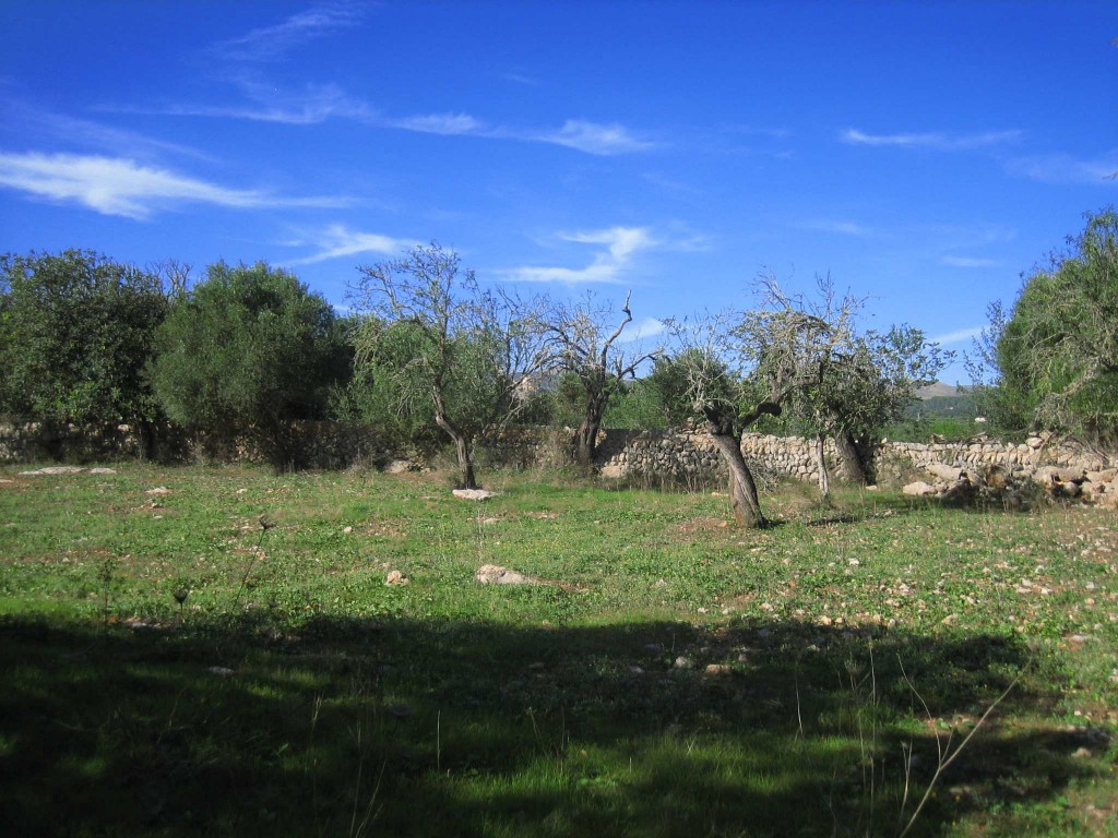 Plot à vendre à Mallorca East 2