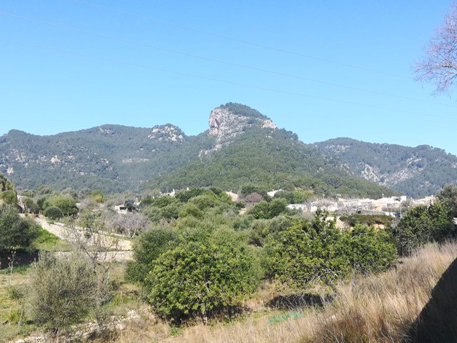 Landhaus zum Verkauf in Mallorca East 10