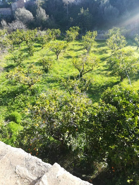 Landhaus zum Verkauf in Mallorca East 16