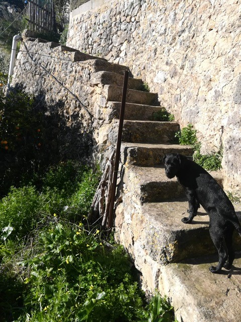 Landhaus zum Verkauf in Mallorca East 17