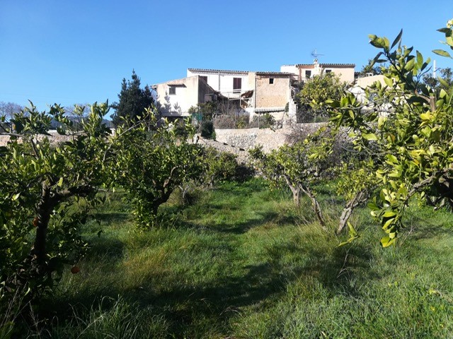 Countryhome for sale in Mallorca East 3