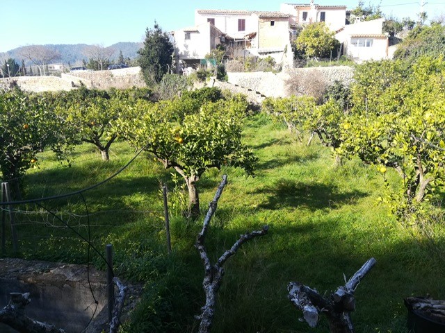 Countryhome for sale in Mallorca East 4