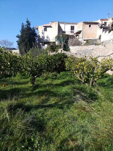 Countryhome for sale in Mallorca East 9