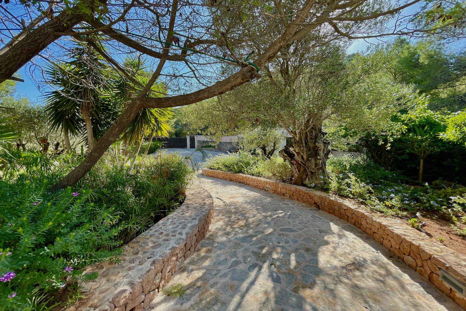 Villa à vendre à Ibiza 8