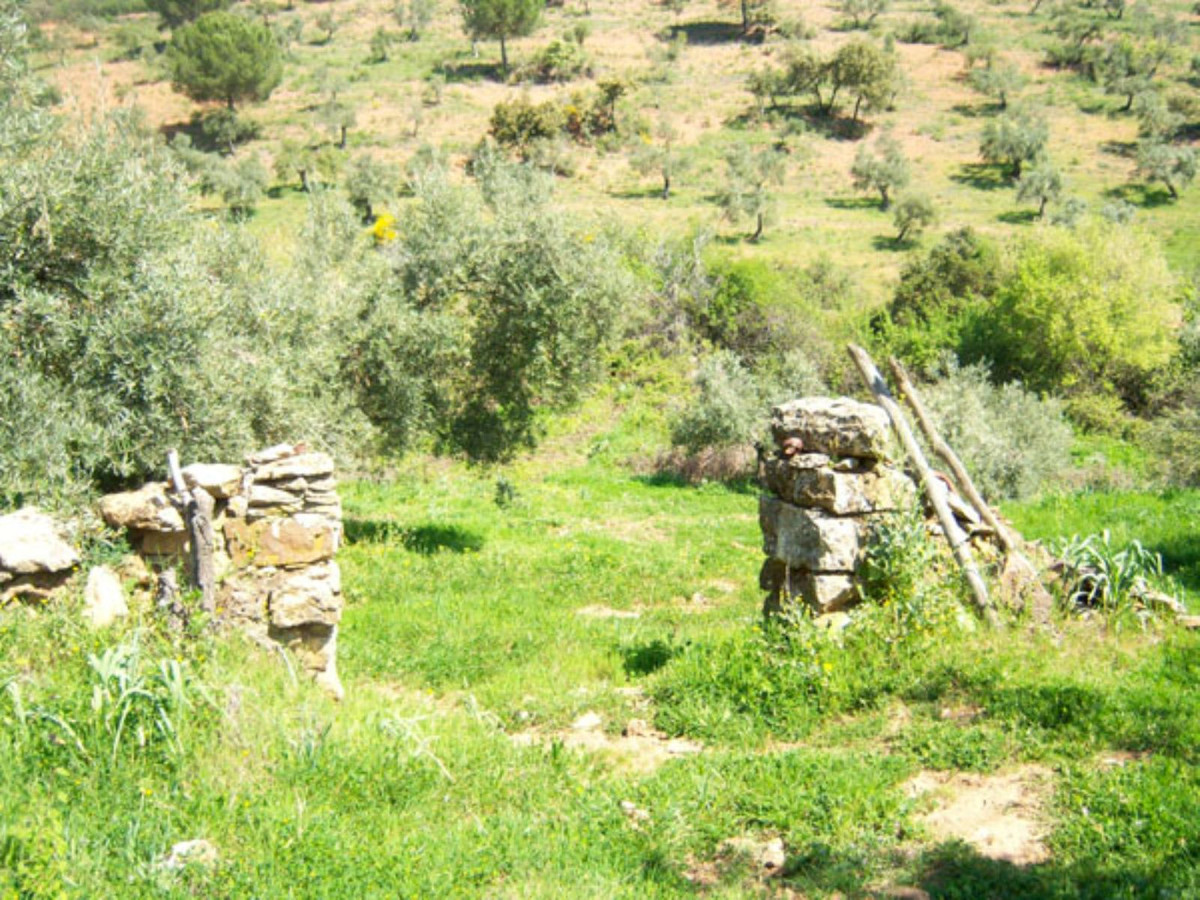 Landhaus zum Verkauf in Guardamar and surroundings 112